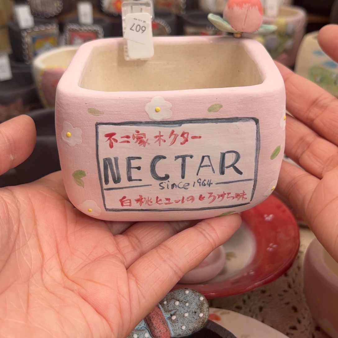 红陶607大方盆桃子不二家