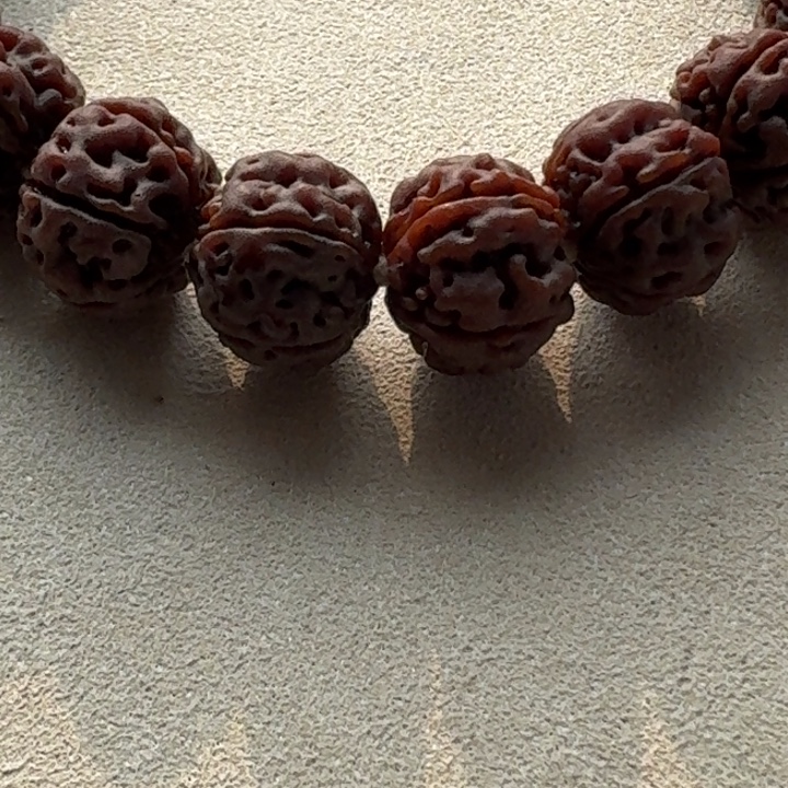 金刚菩提吊坠老树王