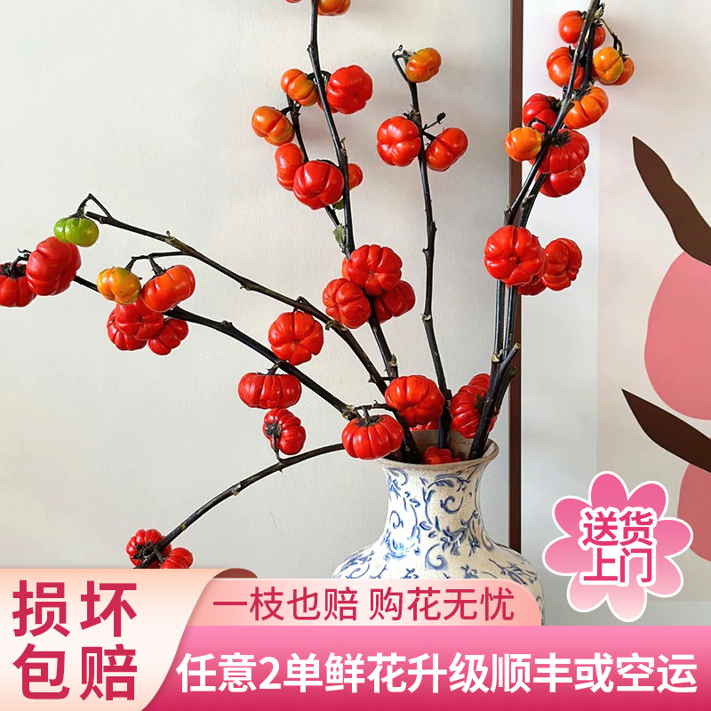 【黄梦宇】小南瓜鲜花  全场鲜花任意满两单及以上包邮