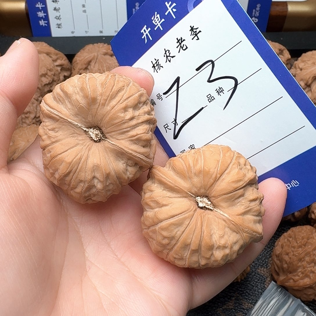 文玩核桃把件躺*平南瓜40尺