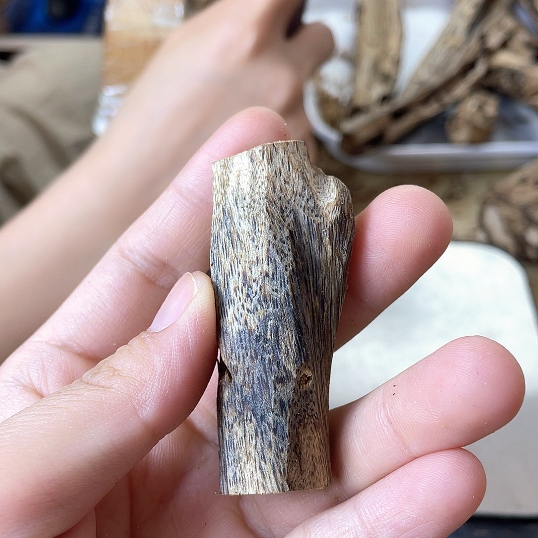 木绿奇楠原材料虫漏9克