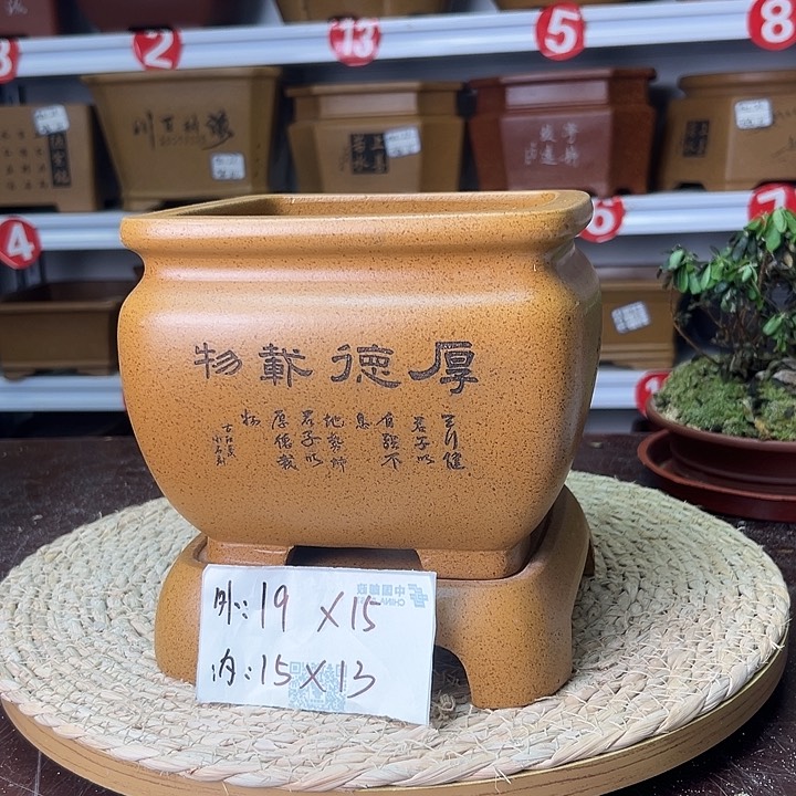 紫砂花盆蛇年大吉
