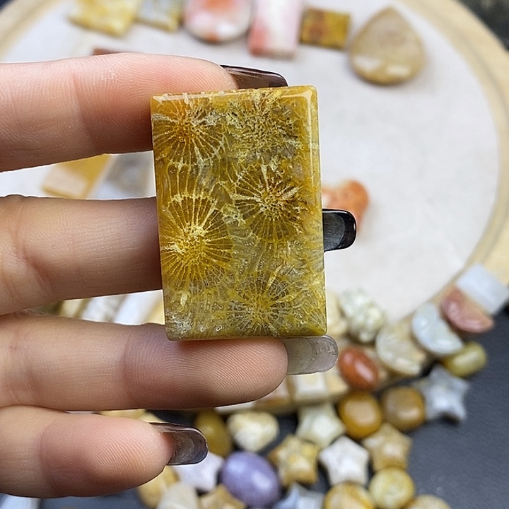 硅化玉未镶嵌颈饰