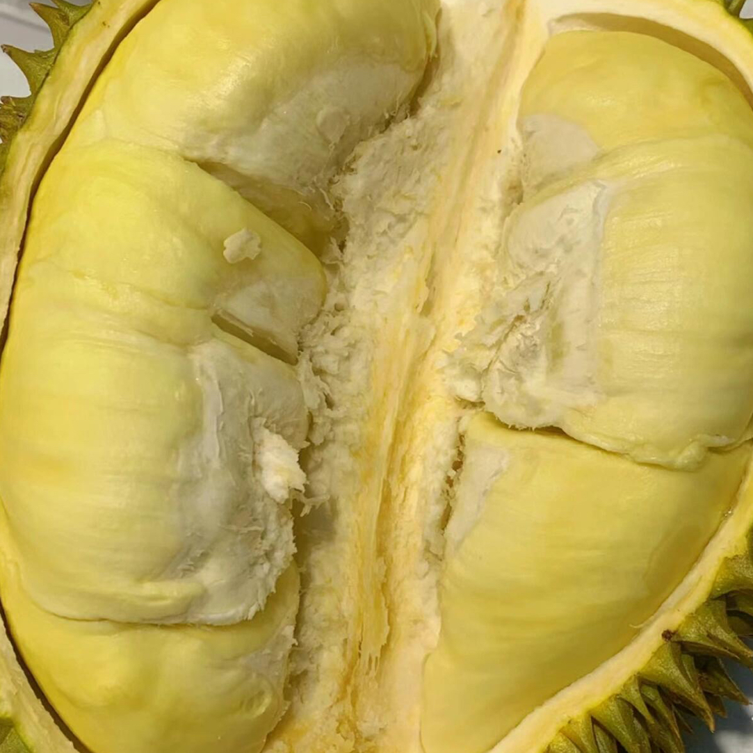 金枕榴莲树熟新鲜纯肉158两斤，皮薄肉大核小现剥榴莲同城配金枕泰国