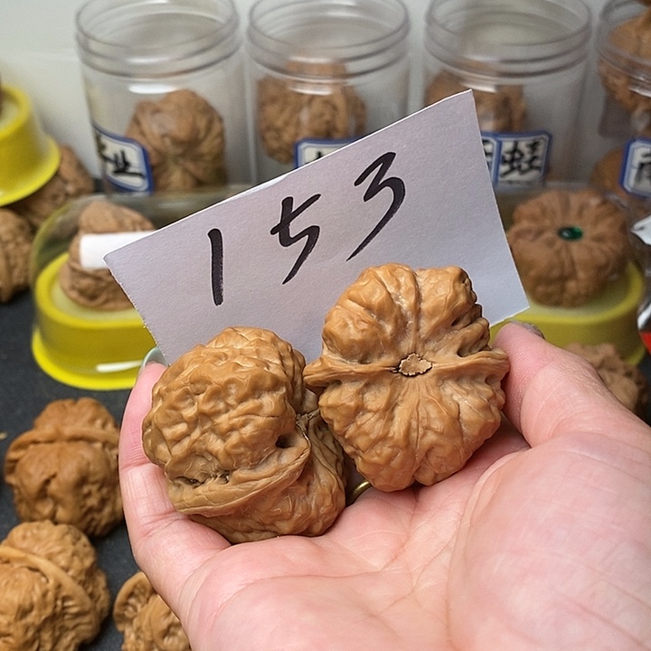 B***e核桃蛤蟆的眼睛也太好看