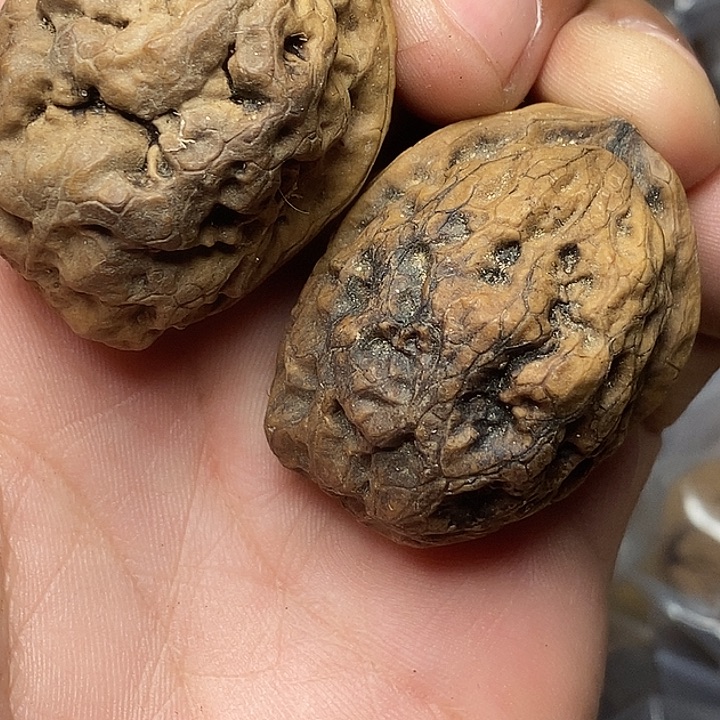 文玩核桃把件志成云铁文玩64