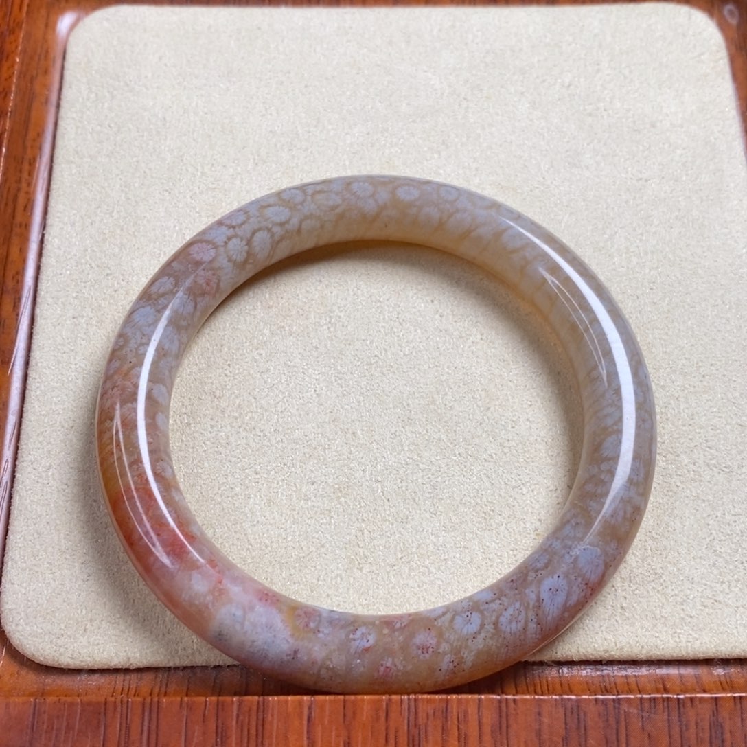 聂***）硅化玉手镯未镶嵌