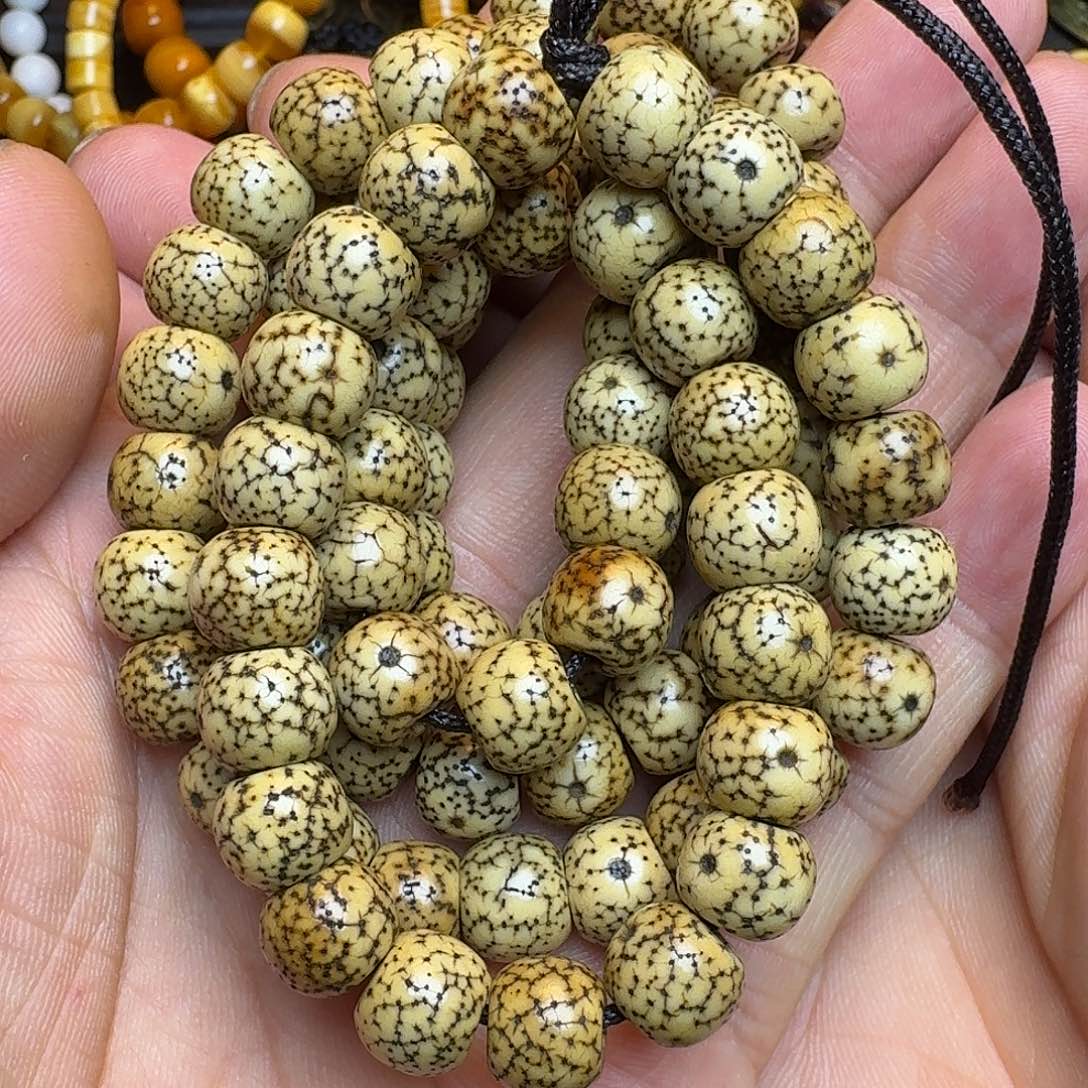 菩提籽类星月菩提