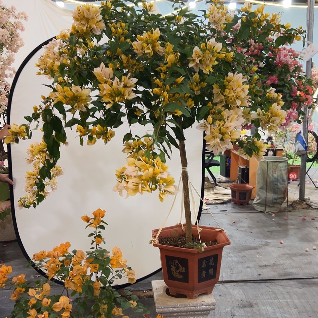 筱***l完全开放三222222222