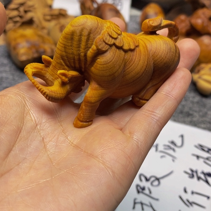 柏木（崖柏）崖柏69