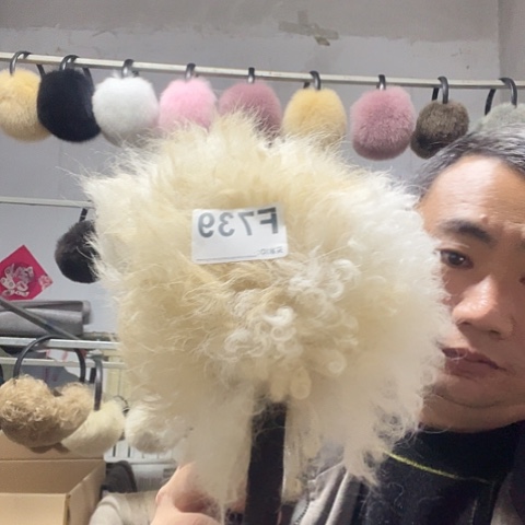 三醋酯纤维绵羊毛