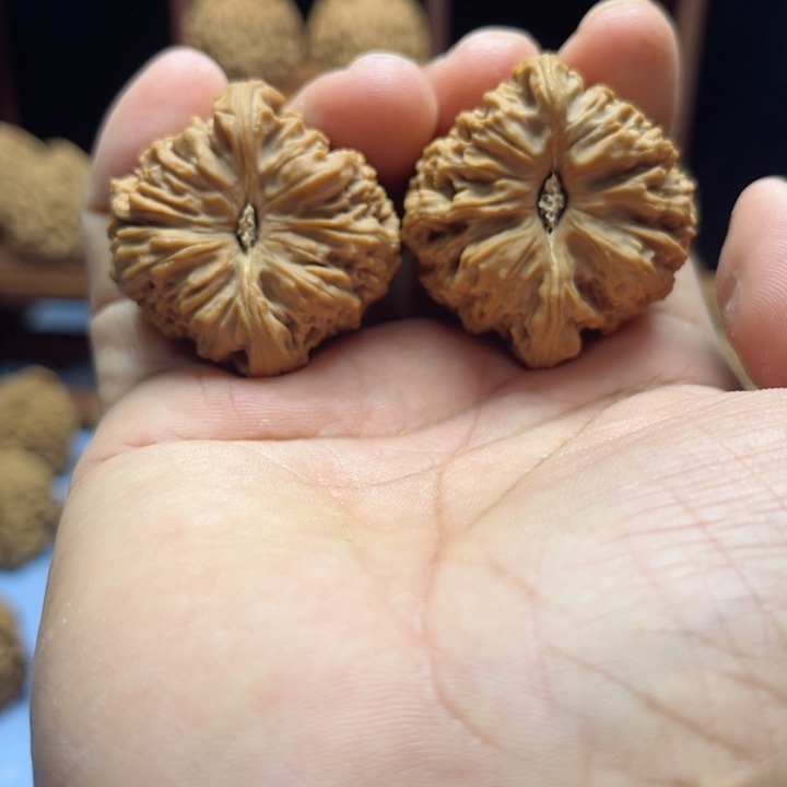 完全开放鹏南疆石