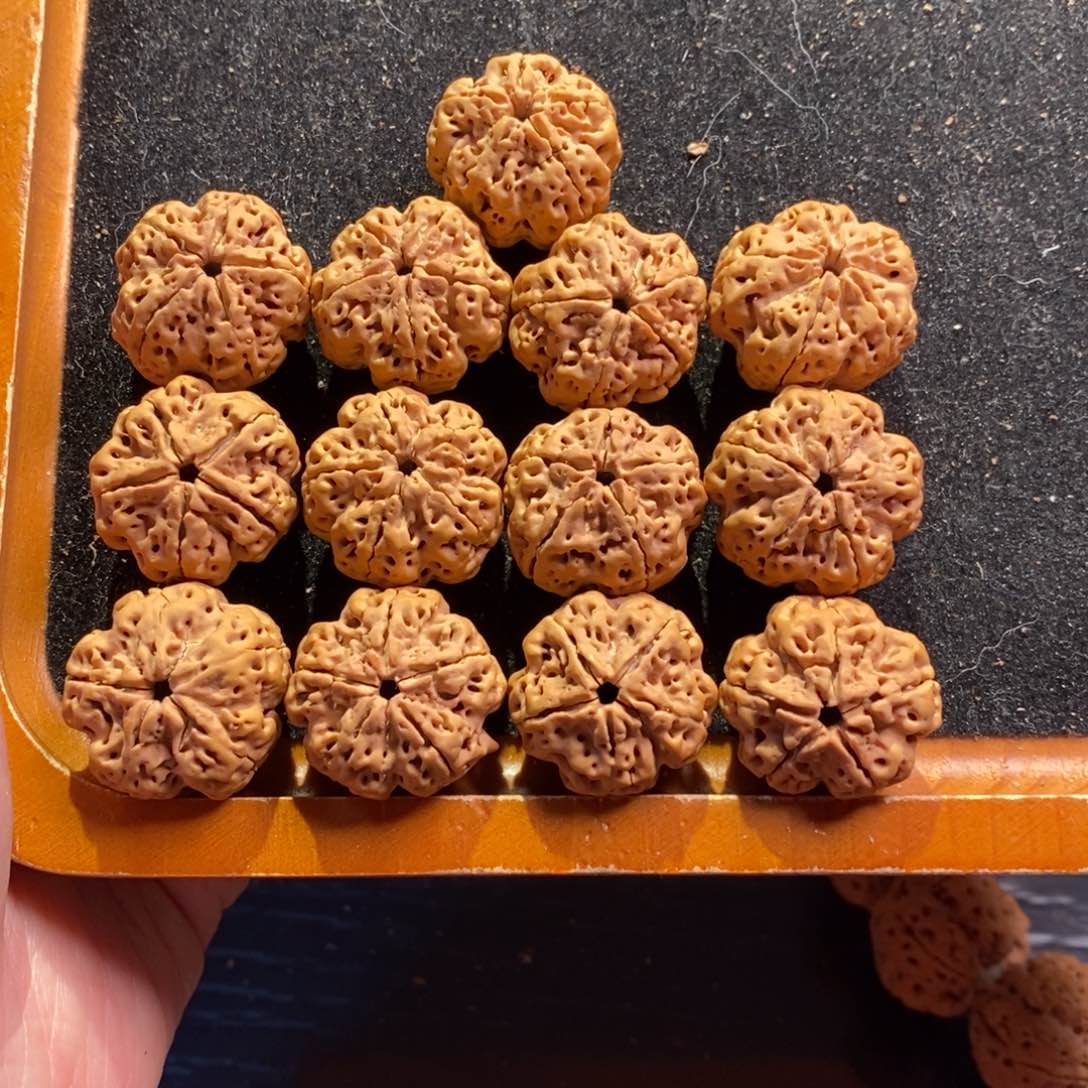 金刚菩提手串梅花