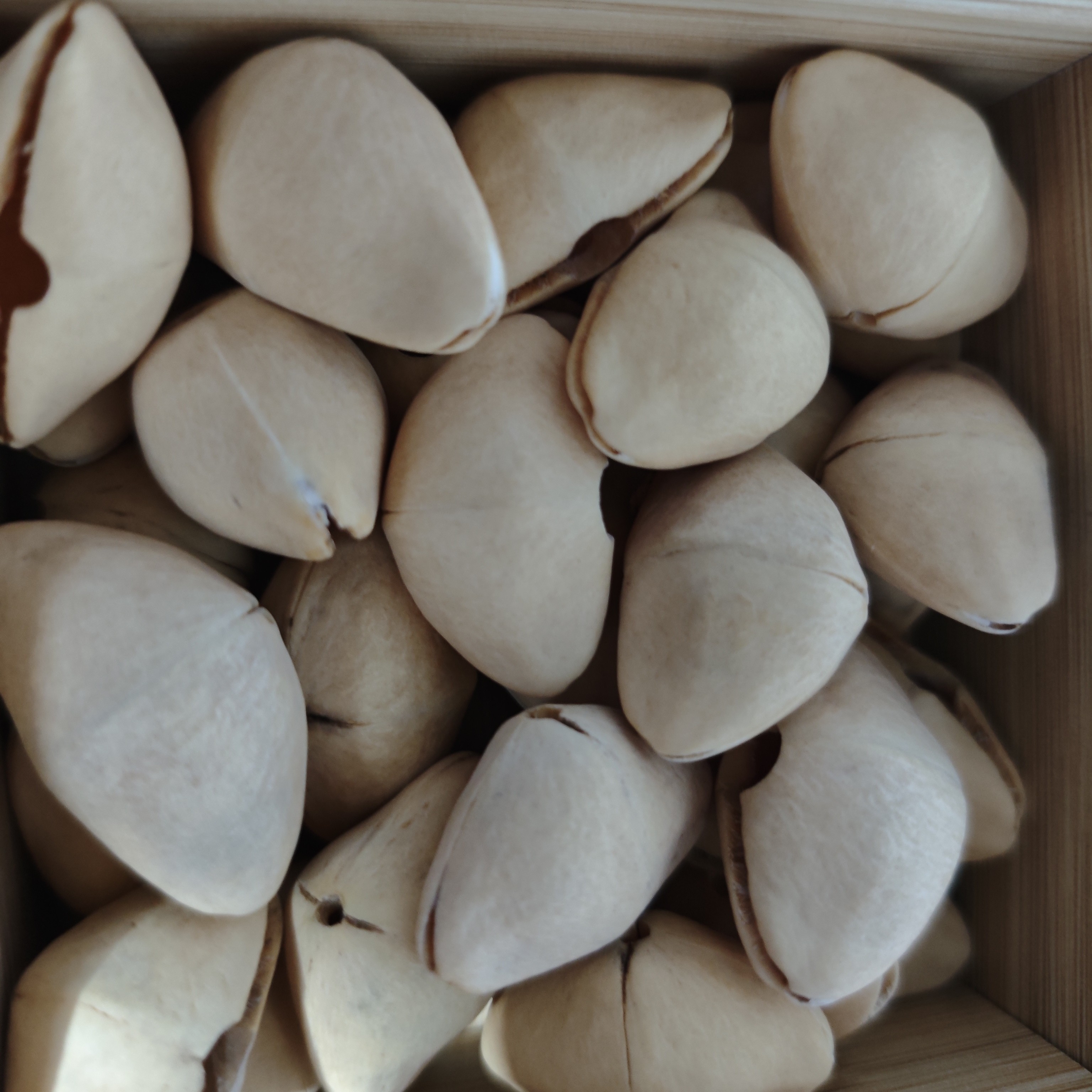 夹竹桃 挂饰手工DIY