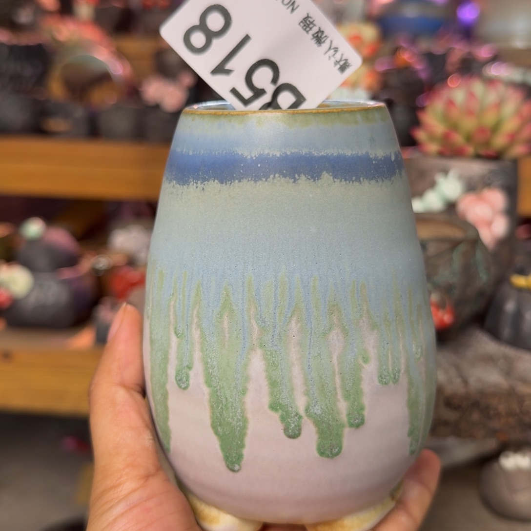 重庆小燕子欢迎大家518