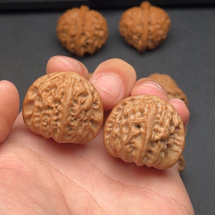 不***班文玩核桃把件白狮子34