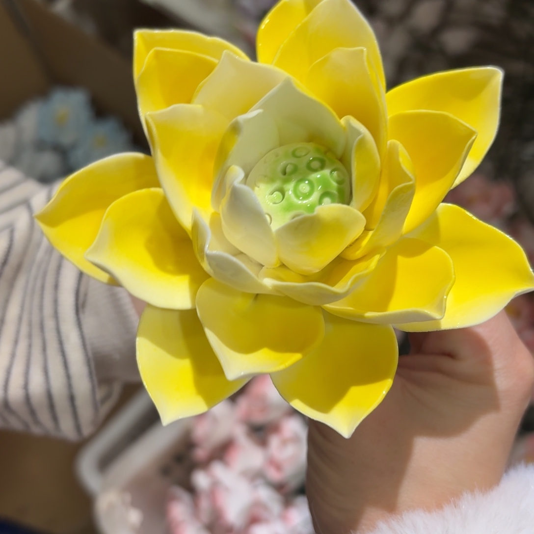 陶瓷花拍满20元发货退款要拉黑