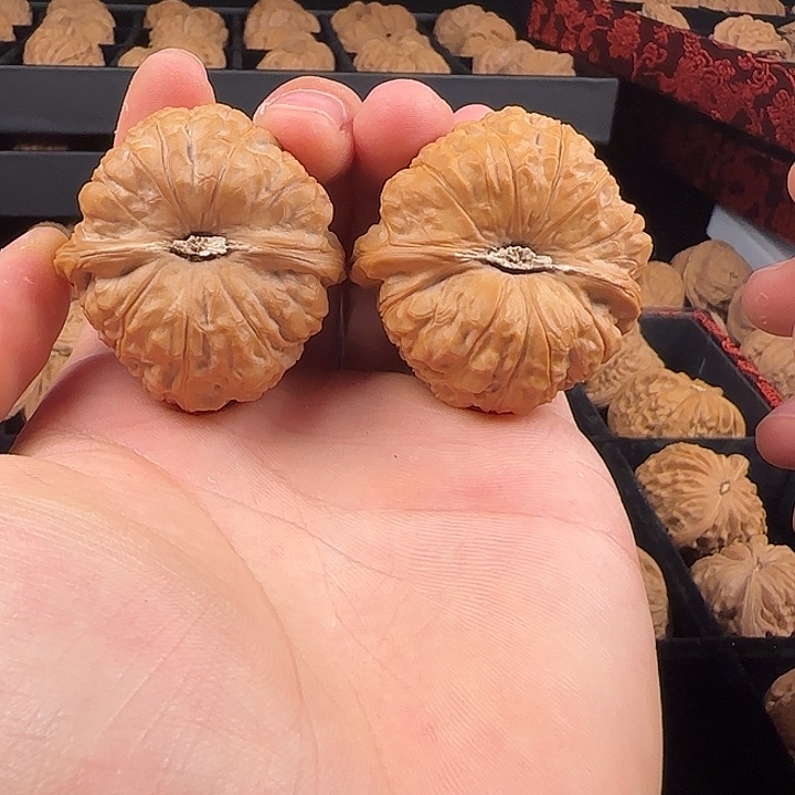 俊***俊吊坠龙脊菩提啊啊啊啊啊啊啊啊南瓜5