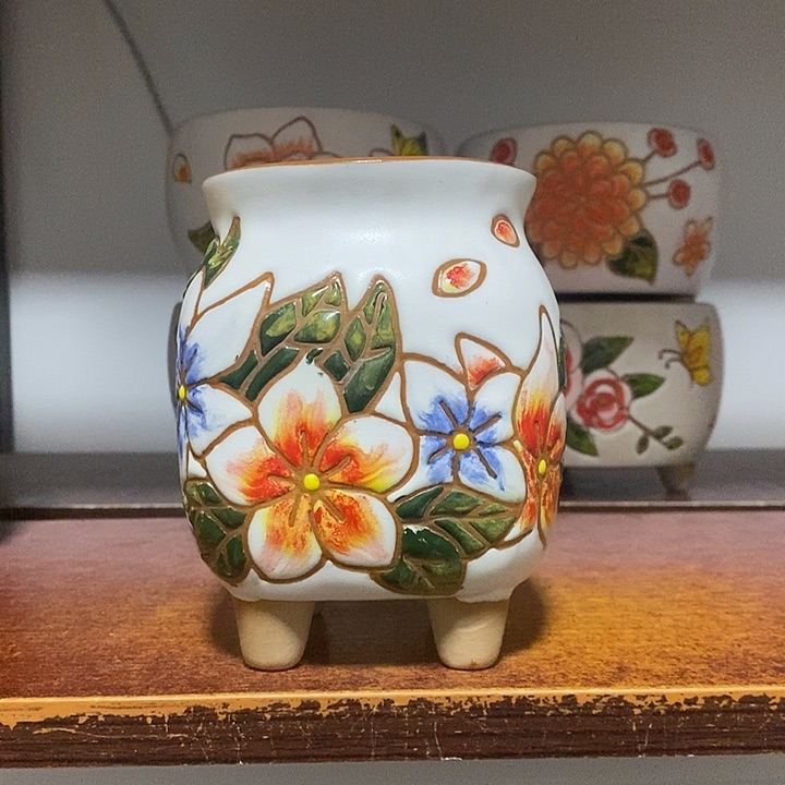 韩式多肉植物花盆