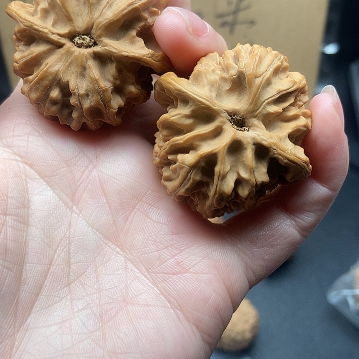 唐***龙大大大大大大苹果