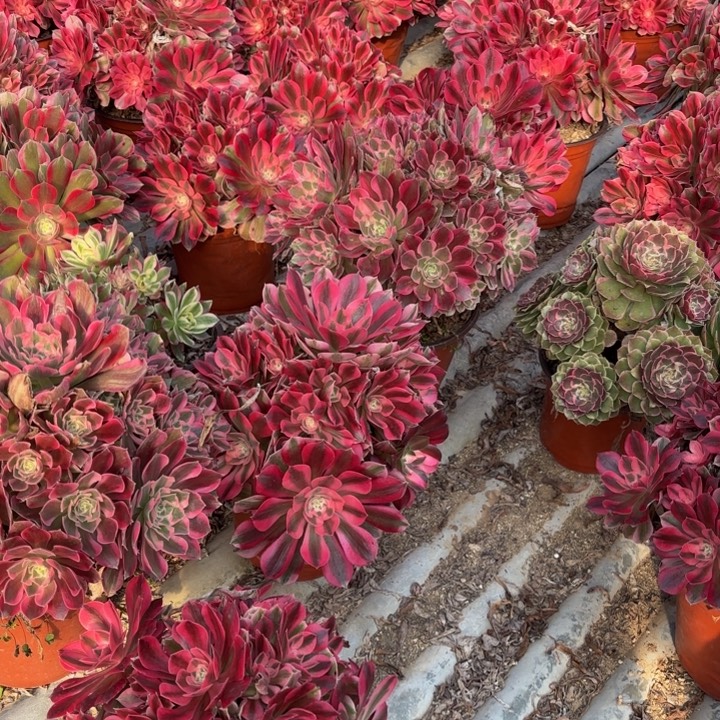 曾***儿瑞妈，，，。。。。奔龙10元