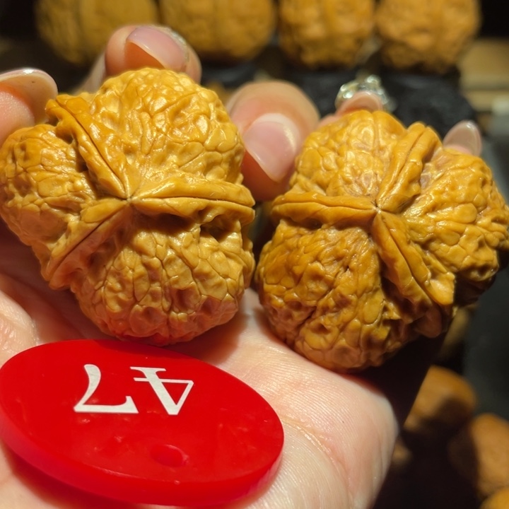 老树黄金三棱尺寸41