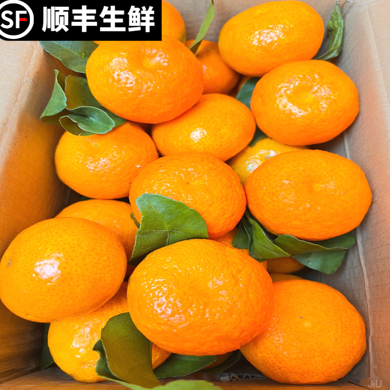 【顺丰包邮】金秋沙糖桔果园直发新鲜水果鲜甜橘子孕妇柑橘水果