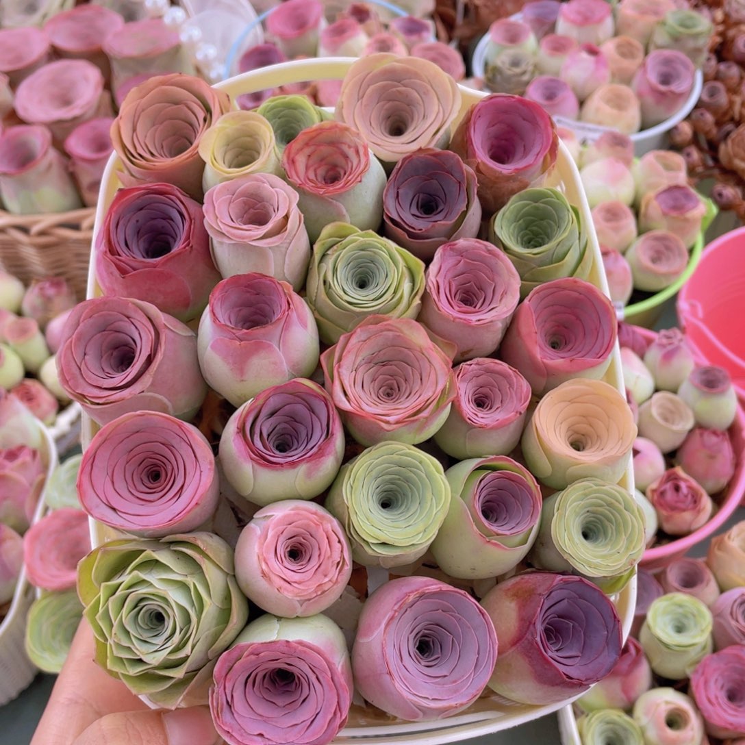 山地玫瑰花篮组合J470