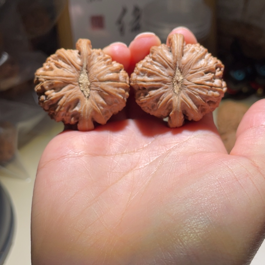 核桃把件德*38全品白狮子