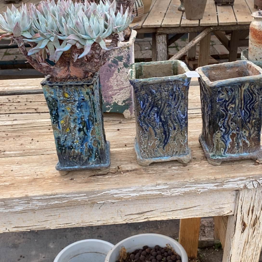 方**正100号多肉盆三个组合