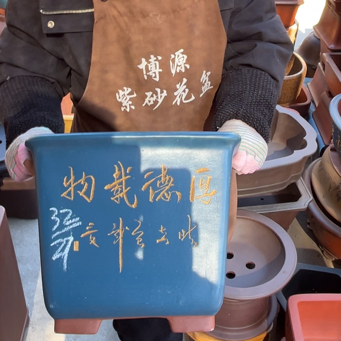 花盆紫砂盆景艺术