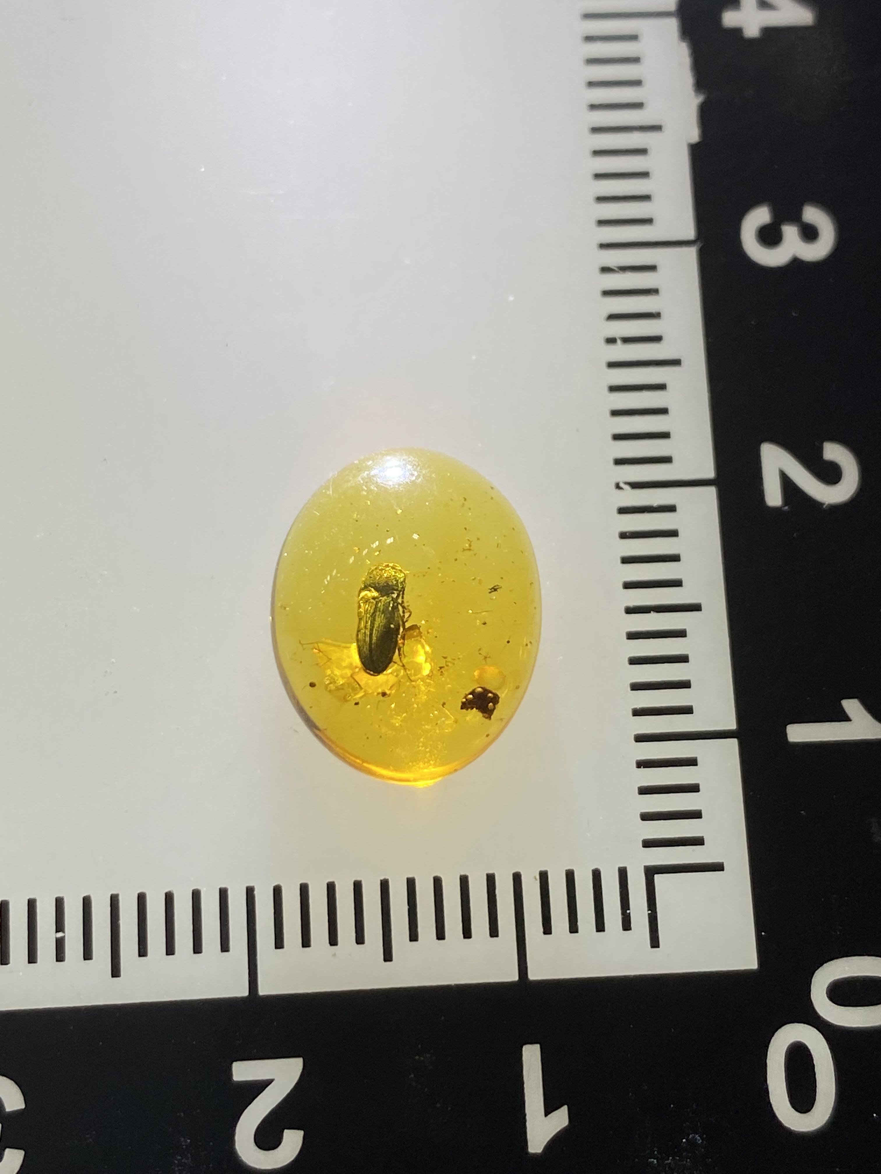 天然缅甸琥珀～甲壳虫戒面