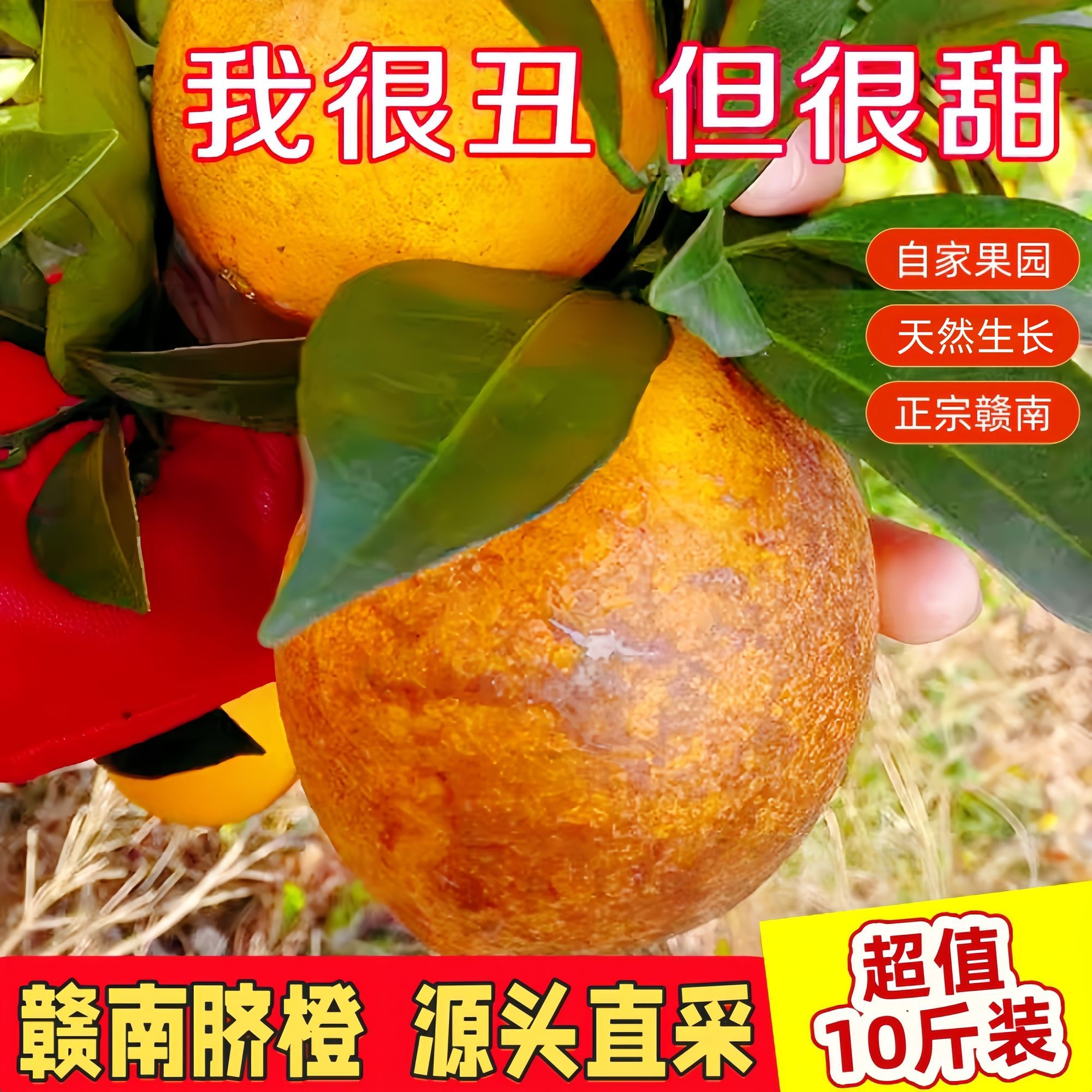 江西正宗赣南脐橙丑花皮果新鲜水果榨汁甜橙老人小孩爱吃整箱发货