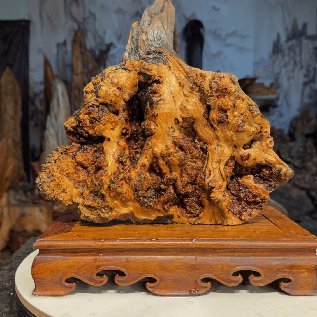 悟***尘木三丰琥珀木 天然摆件11