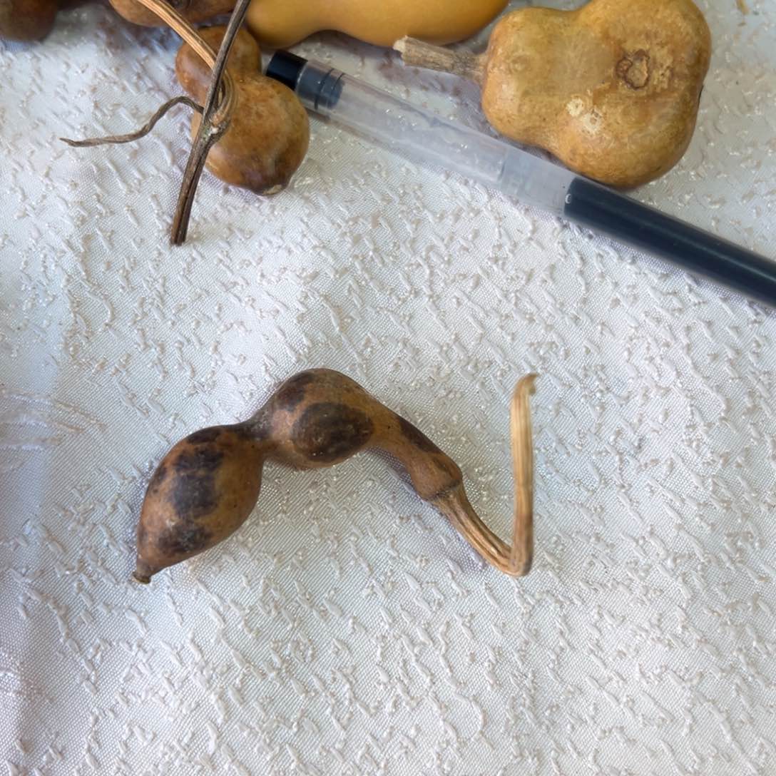 J****.葫芦娃兄弟姐妹们一起来看看