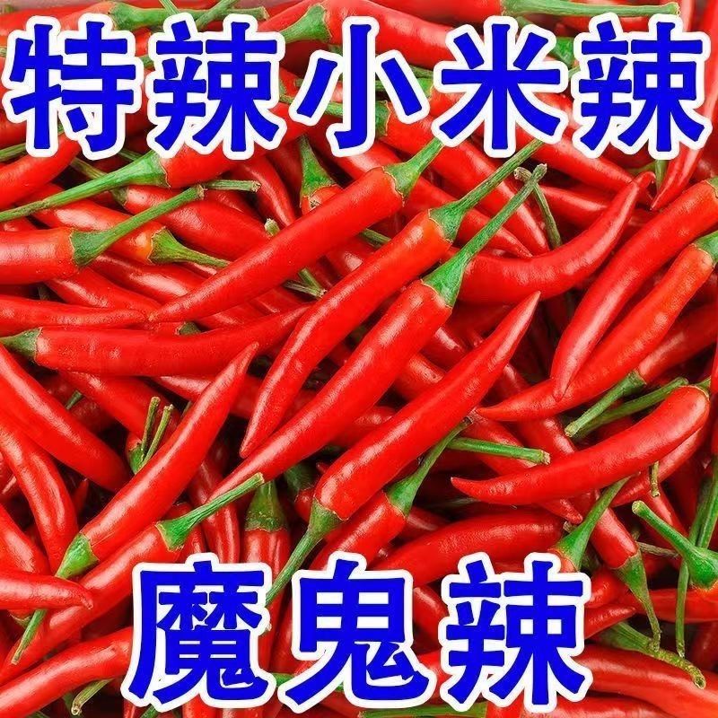 广西新鲜小米辣椒爆辣新鲜红辣椒朝天椒农家特辣批发产地直发