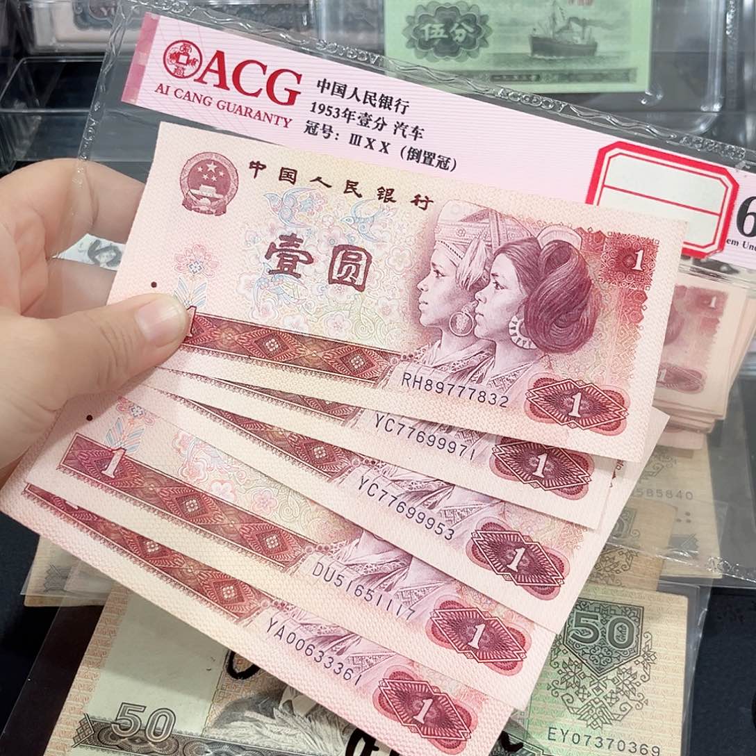 椎**詠801中间豹5张一组