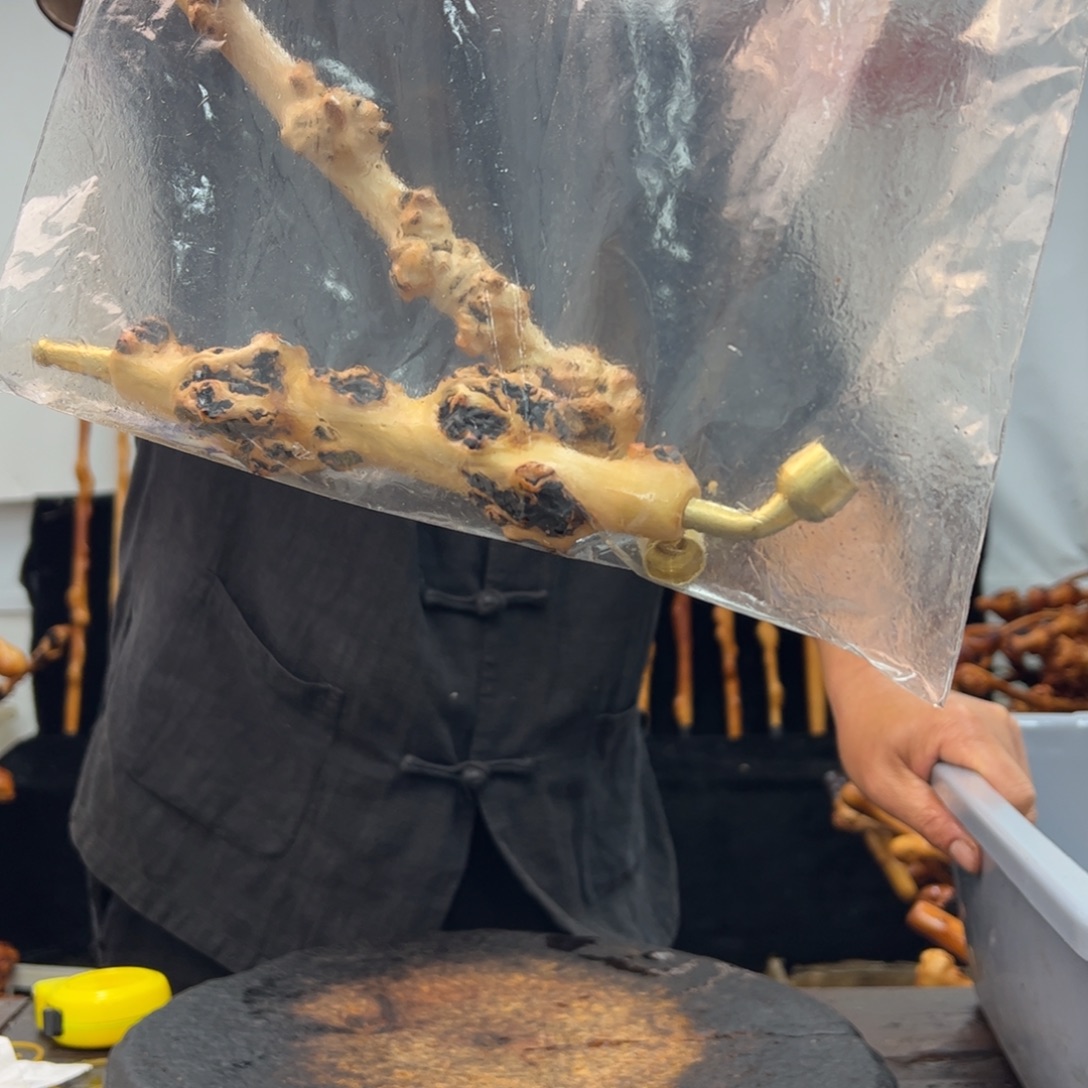 其他黑果木黑果木987