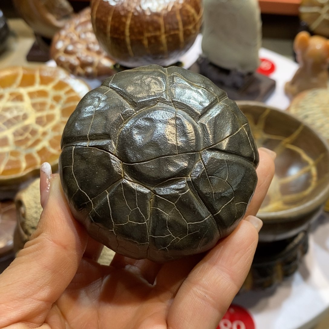 鲸***活羊羔毛龟纹石原产地直播