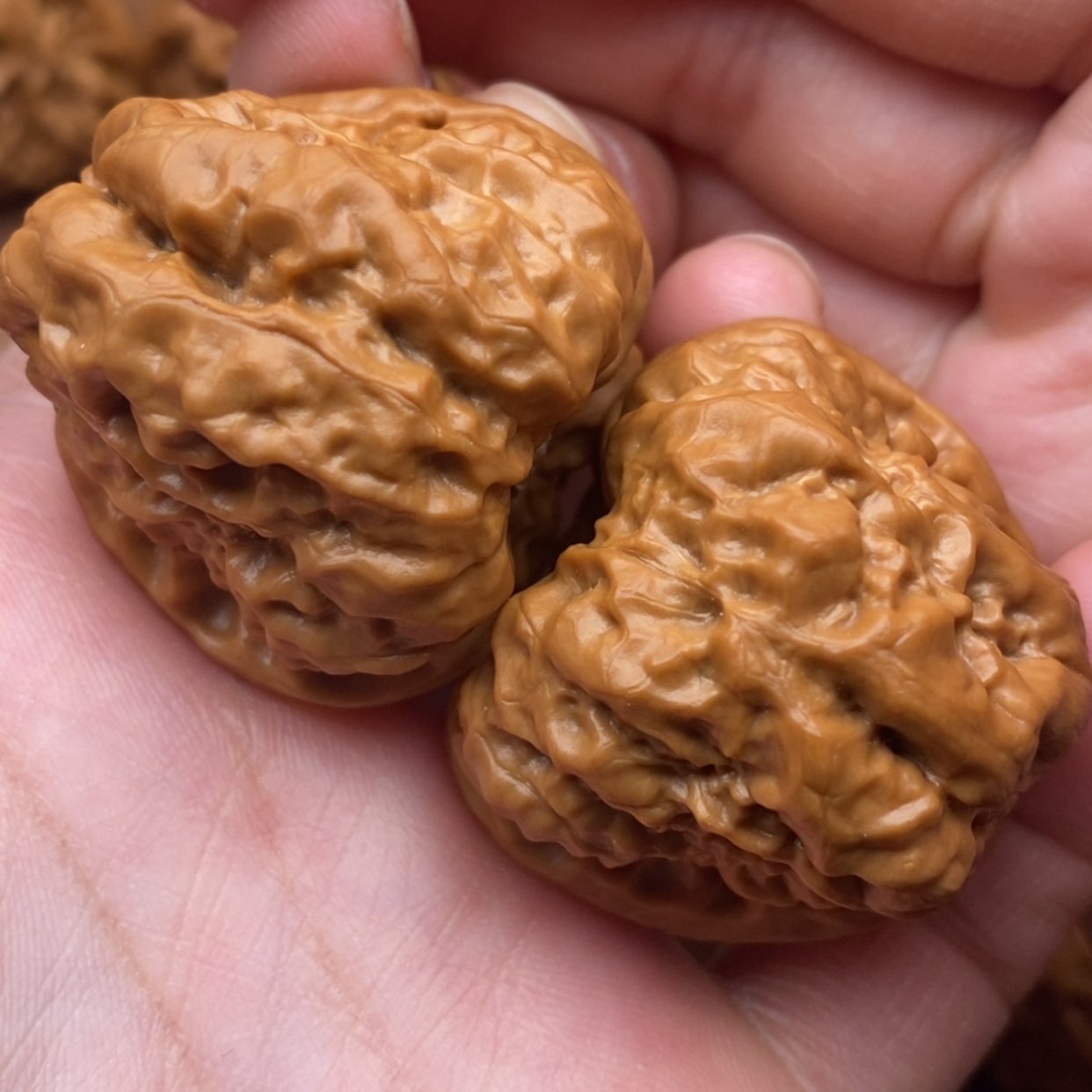 【闪购商品】文玩核桃把件向**?边38左右