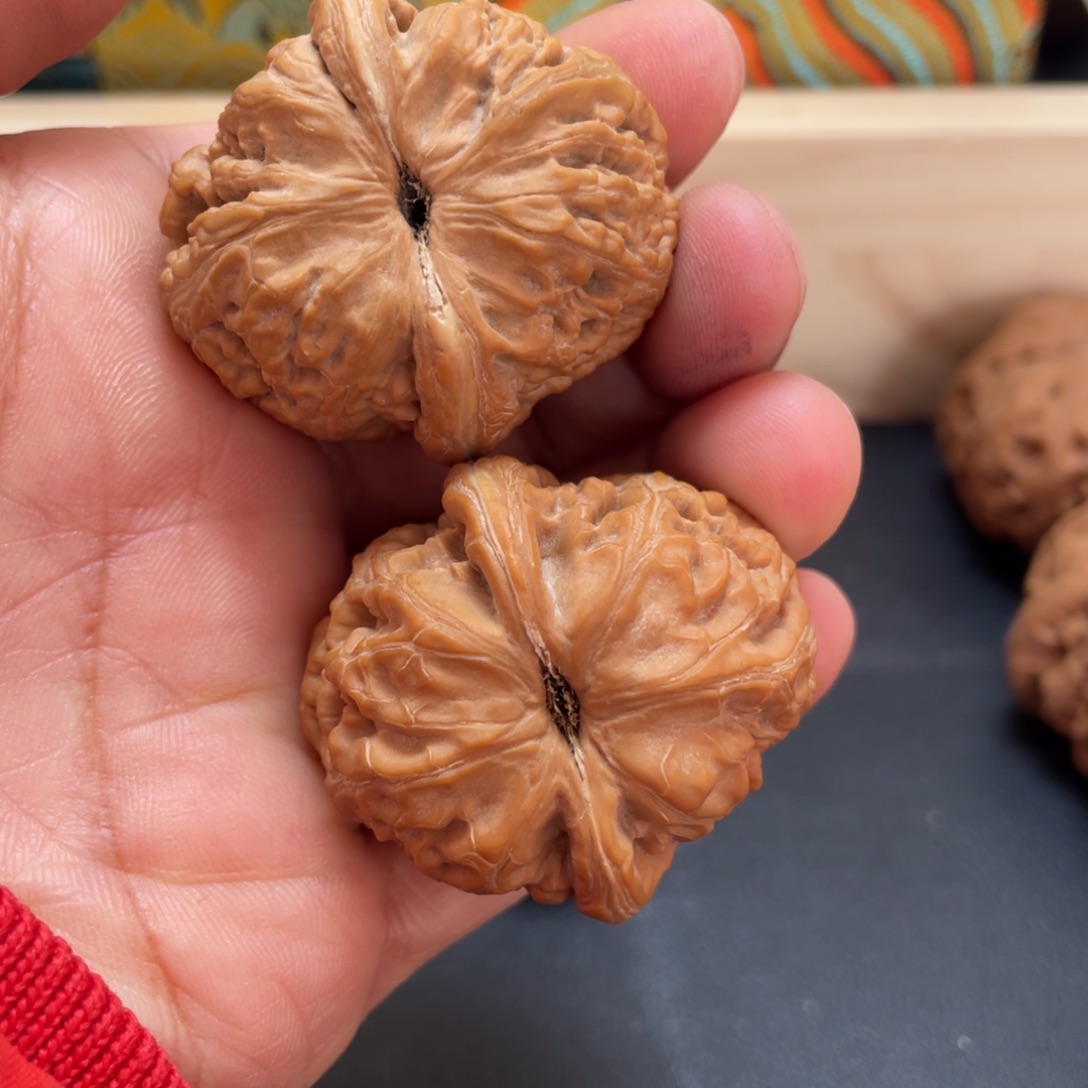 U***i大叶紫檀（黑酸枝木类）