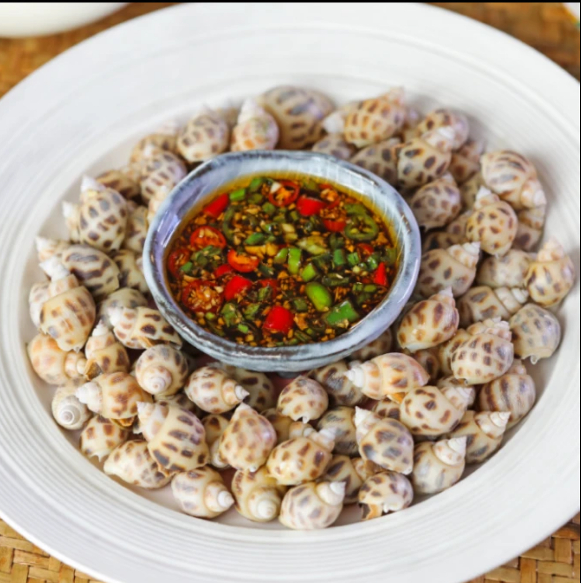 （鲜活海南花螺)野生本地花螺 超肥美全国顺丰活发