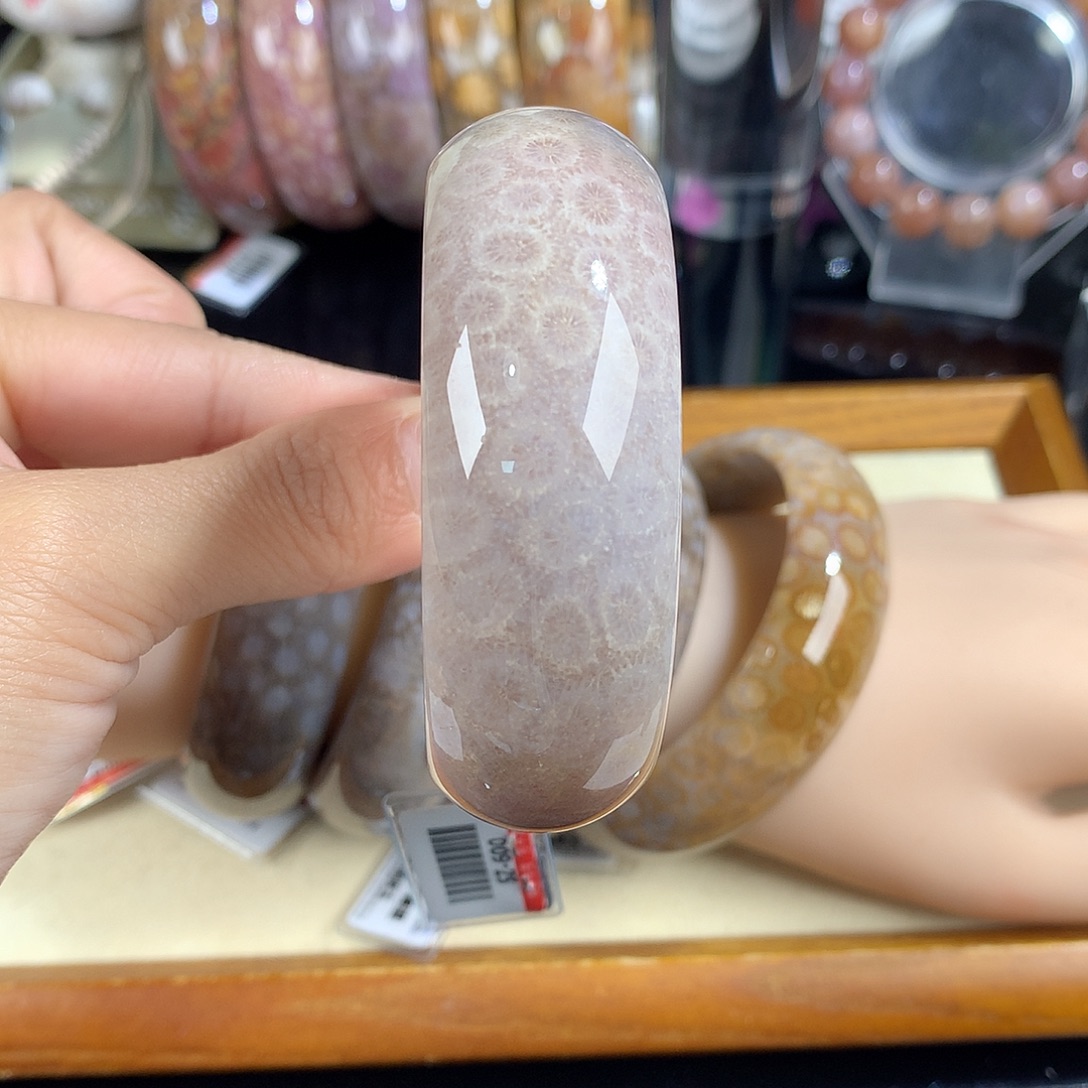 吊坠(赠链)未镶嵌硅化珊瑚（珊瑚玉）25号55圈口