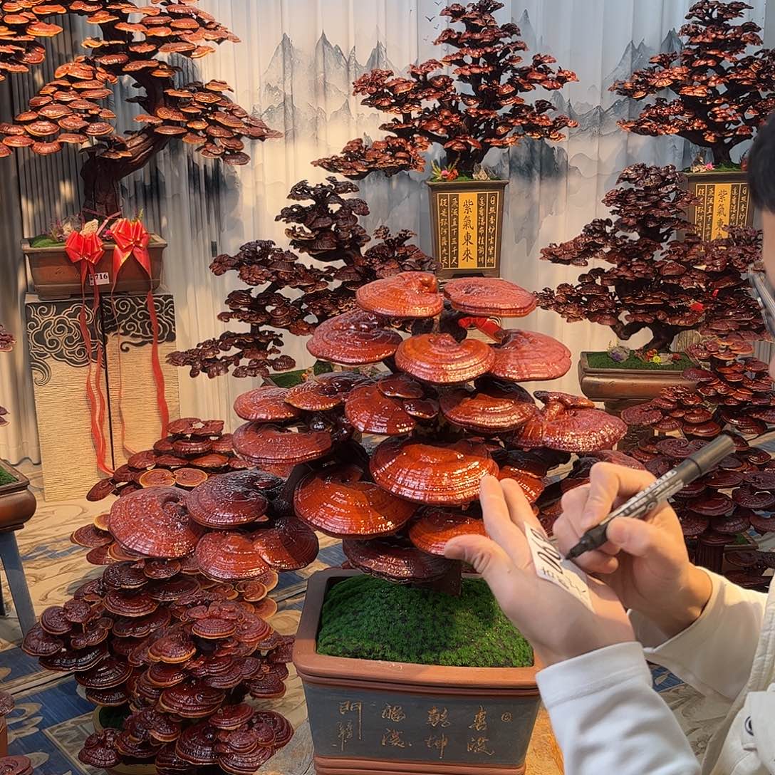 共***发无花朵88888888888