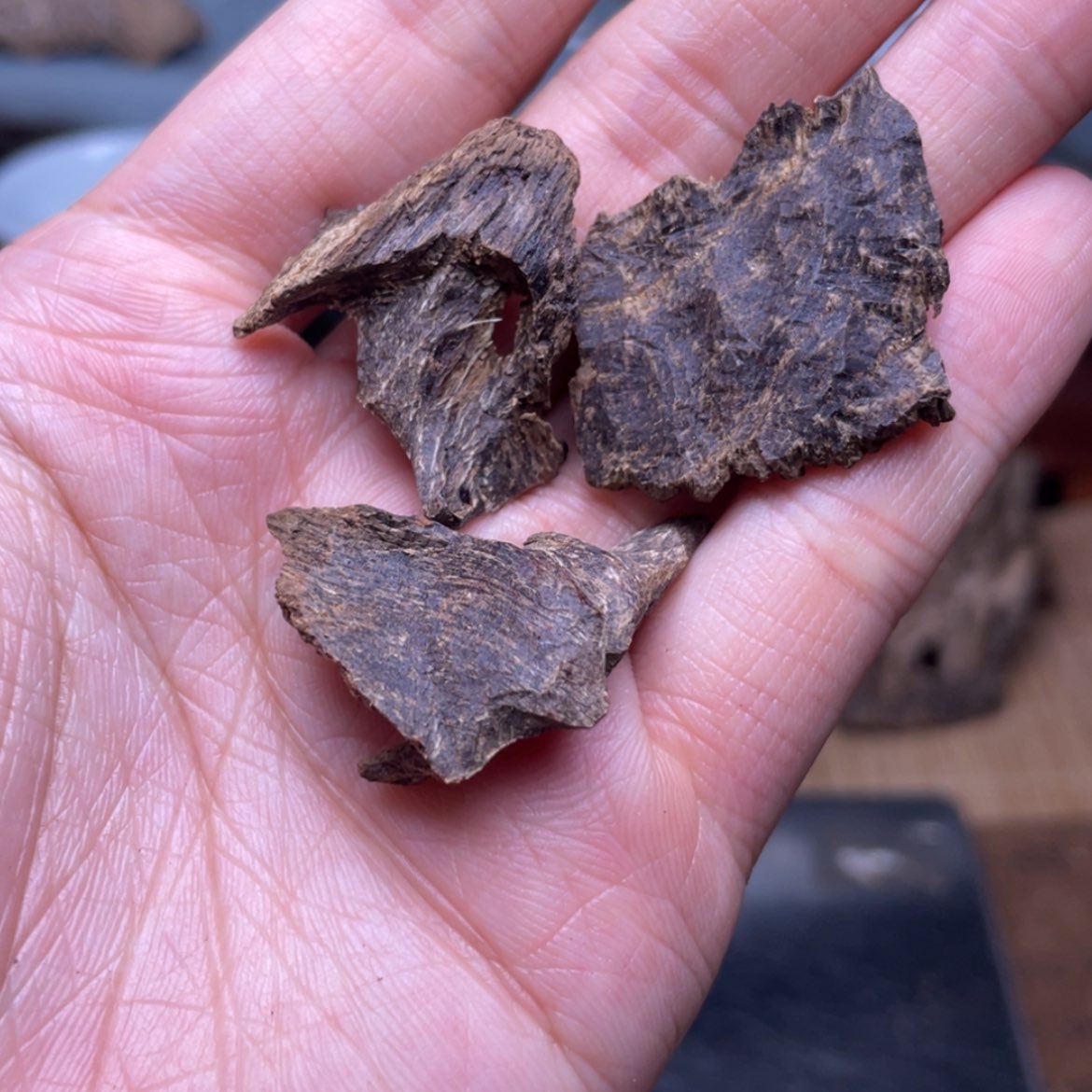 【闪购商品】香榧木海南五指山淳化老包头3.4克