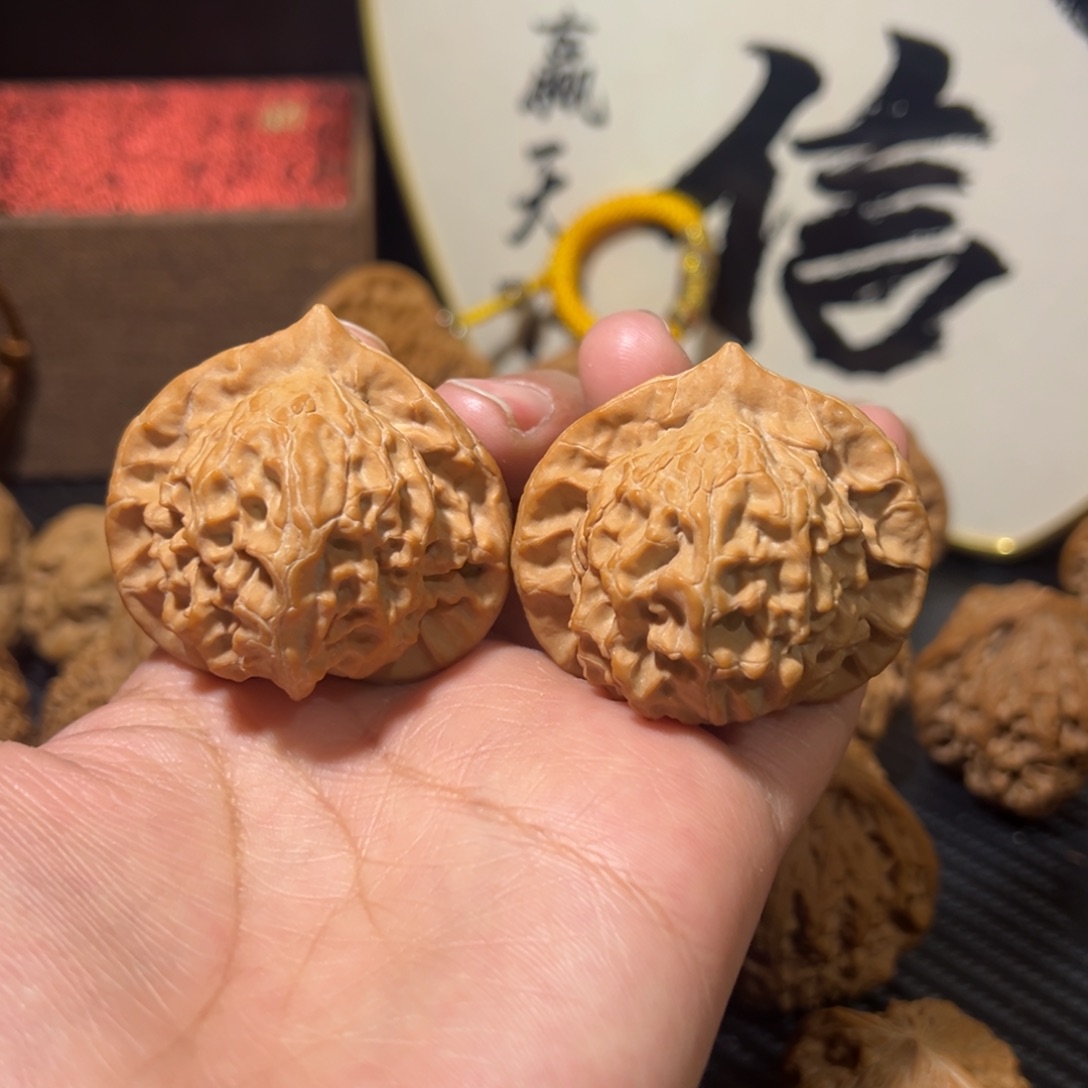 核桃毕业级大耳朵图图