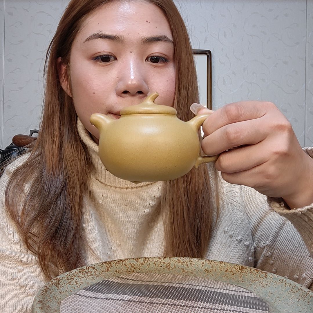 段泥茶壶200毫升茄段