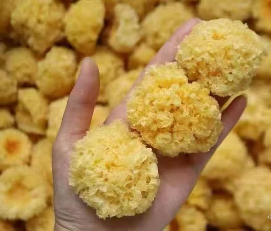 【桂和名轩】椴木小银耳+红枣 枸杞