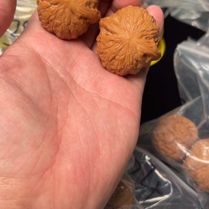 核桃铁锤，40，已打底