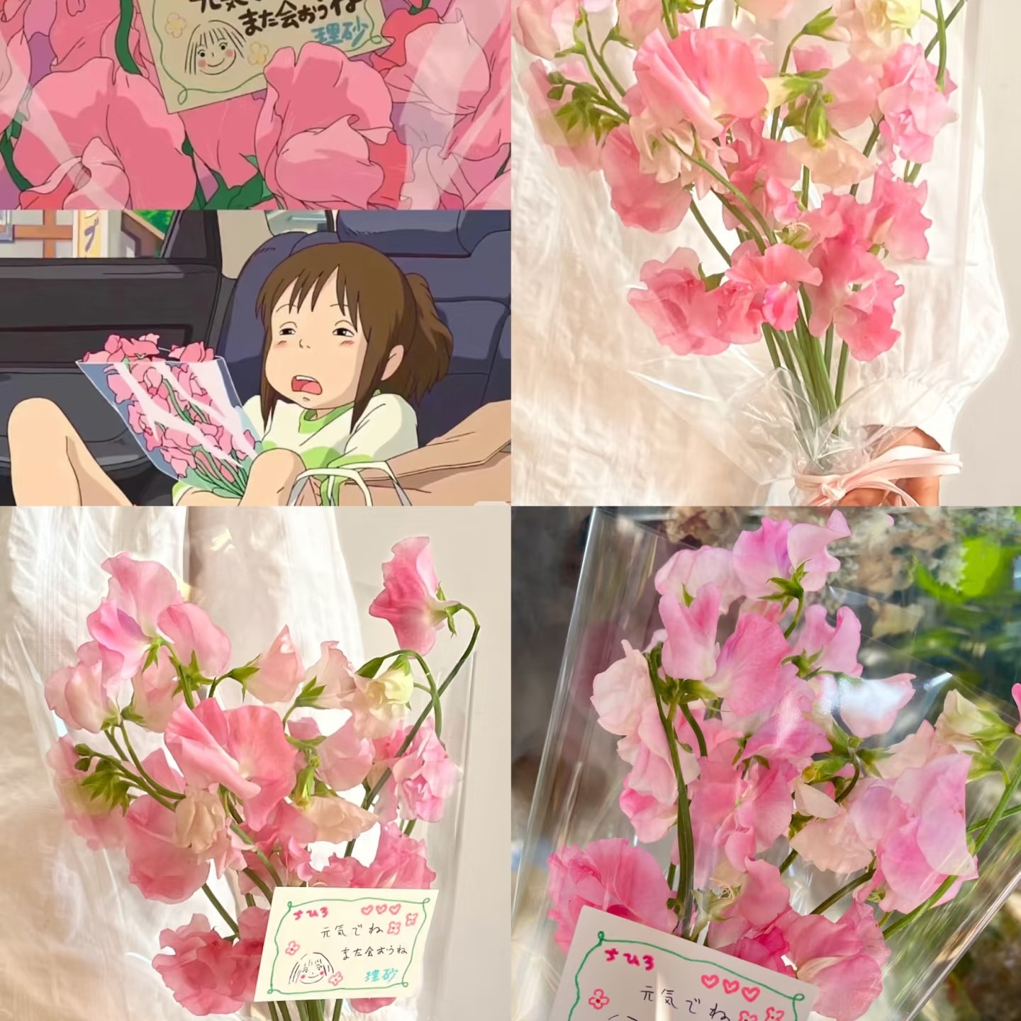 【云朵 系列】香豌豆 鲜切花 千与千寻同款 清冷香气 冷链包邮